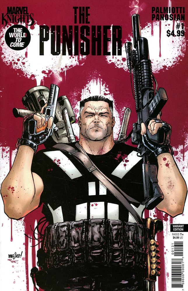 Marvel Knights: Punisher #1C