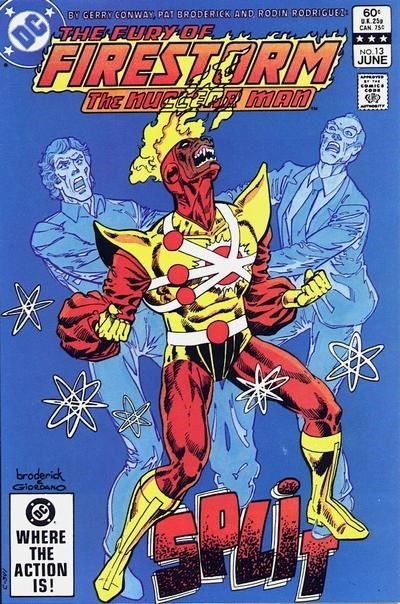 FURY OF FIRESTORM #13