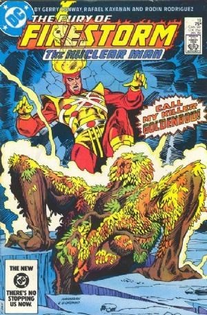 FURY OF FIRESTORM #19