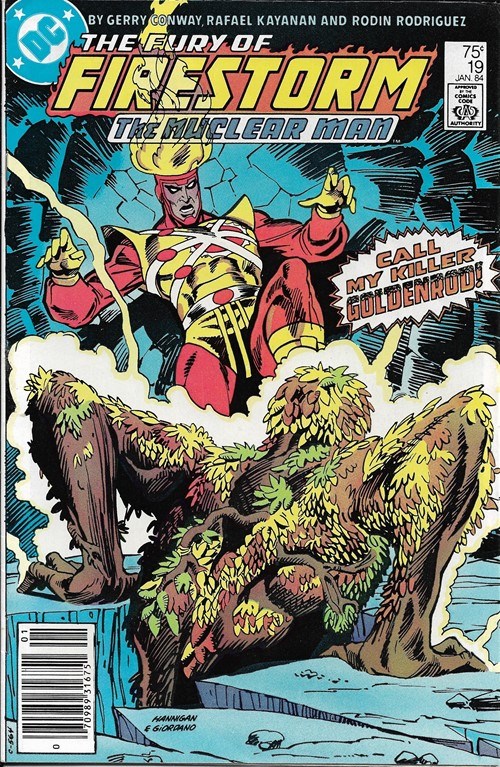 FURY OF FIRESTORM #19B