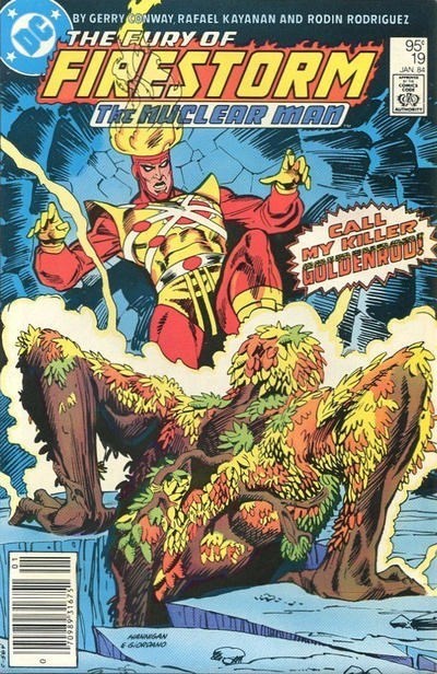 FURY OF FIRESTORM #19C