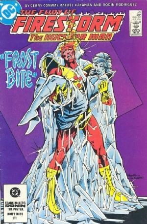 FURY OF FIRESTORM #20
