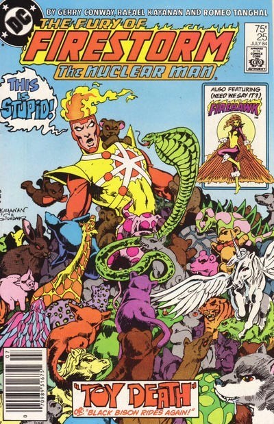 FURY OF FIRESTORM #25B
