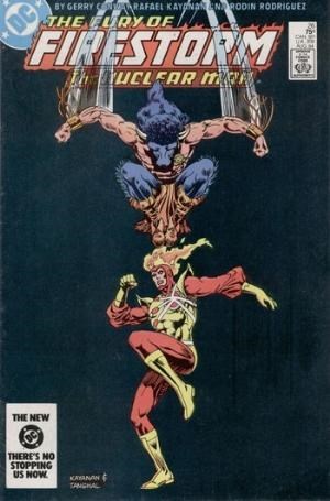 FURY OF FIRESTORM #26