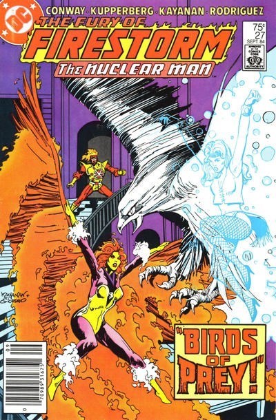 FURY OF FIRESTORM #27B