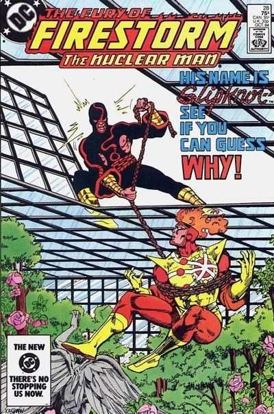 FURY OF FIRESTORM #28
