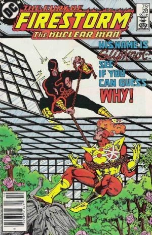 FURY OF FIRESTORM #28B