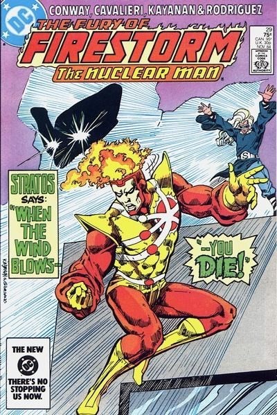 FURY OF FIRESTORM #29