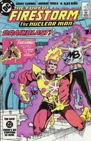 FURY OF FIRESTORM #31