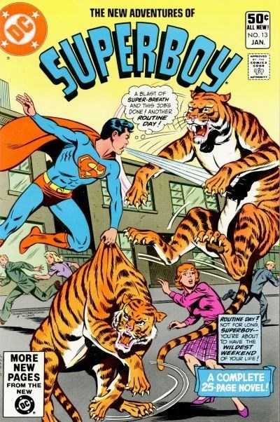 THE NEW ADVENTURES OF SUPERBOY #13