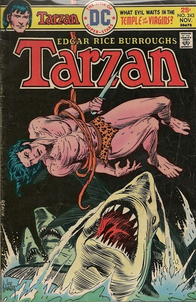 TARZAN #243