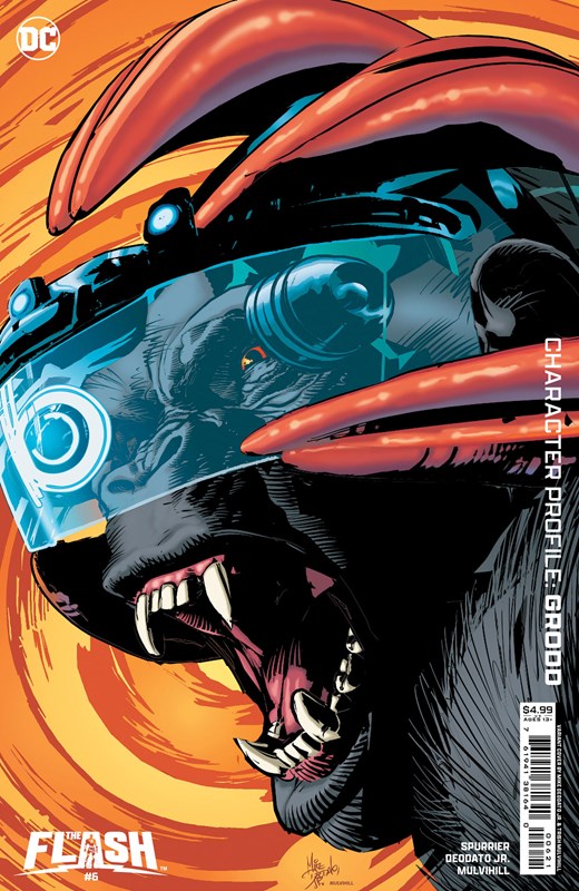 THE FLASH #6B