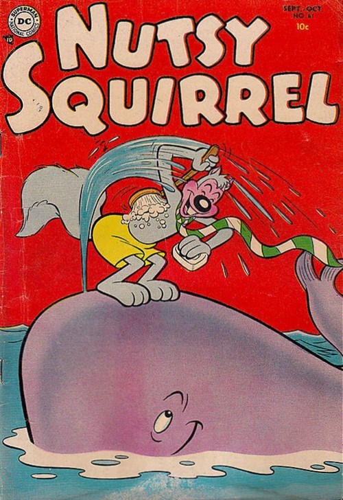 NUTSY SQUIRREL #61